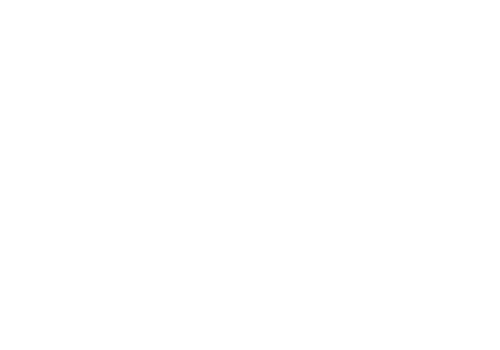 Discover South Carolina