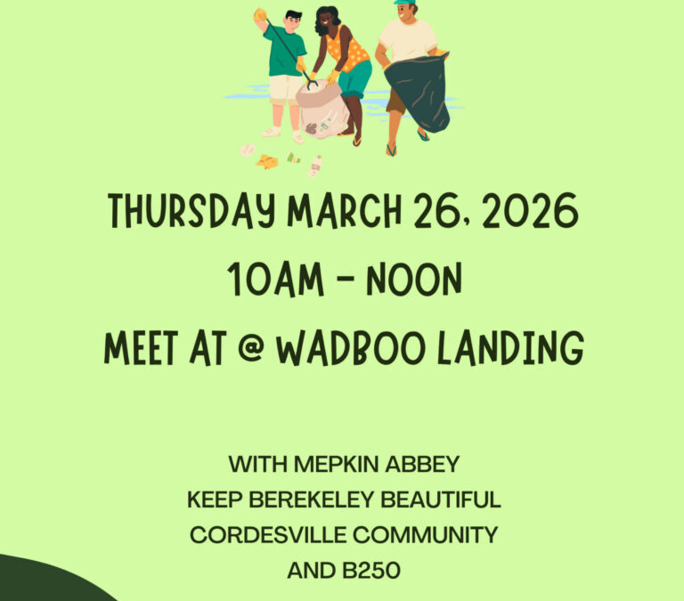 Biggin litter Pick up